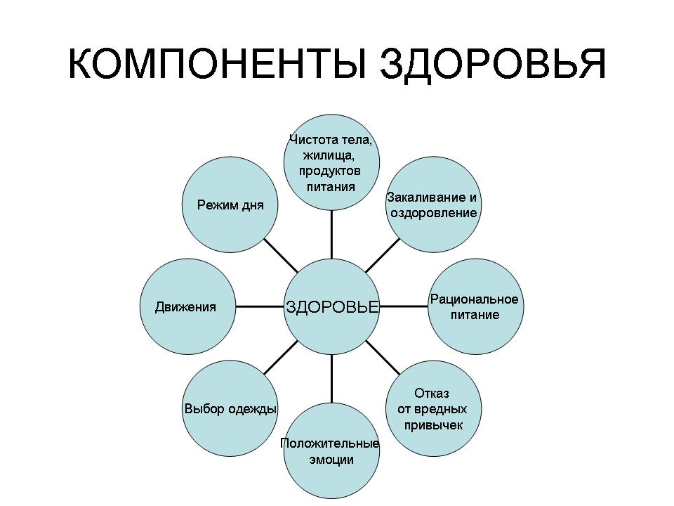 Компоненты здорового образа жизни картинки