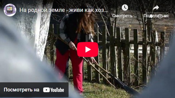 Смотреть